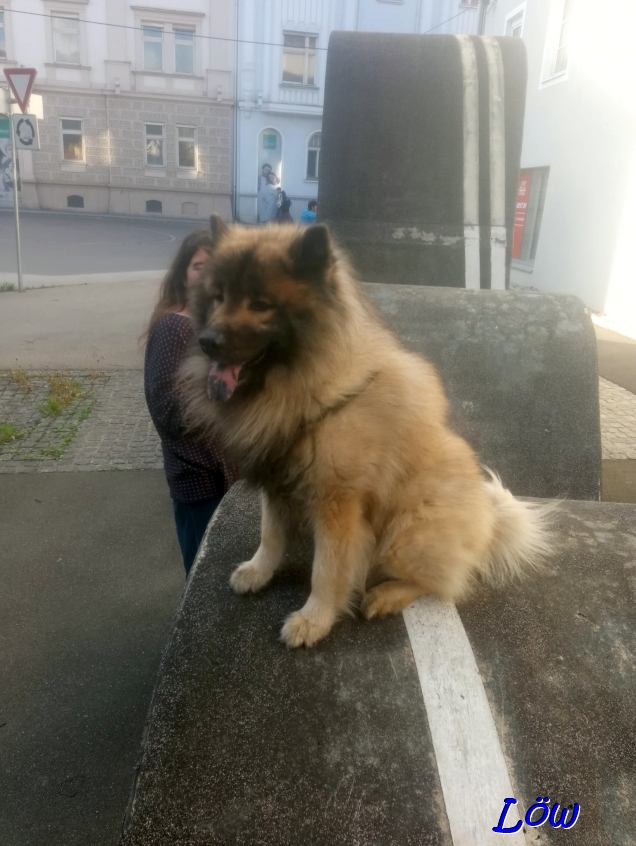 19.4.2025 - Gipfelst&uuml;rmer